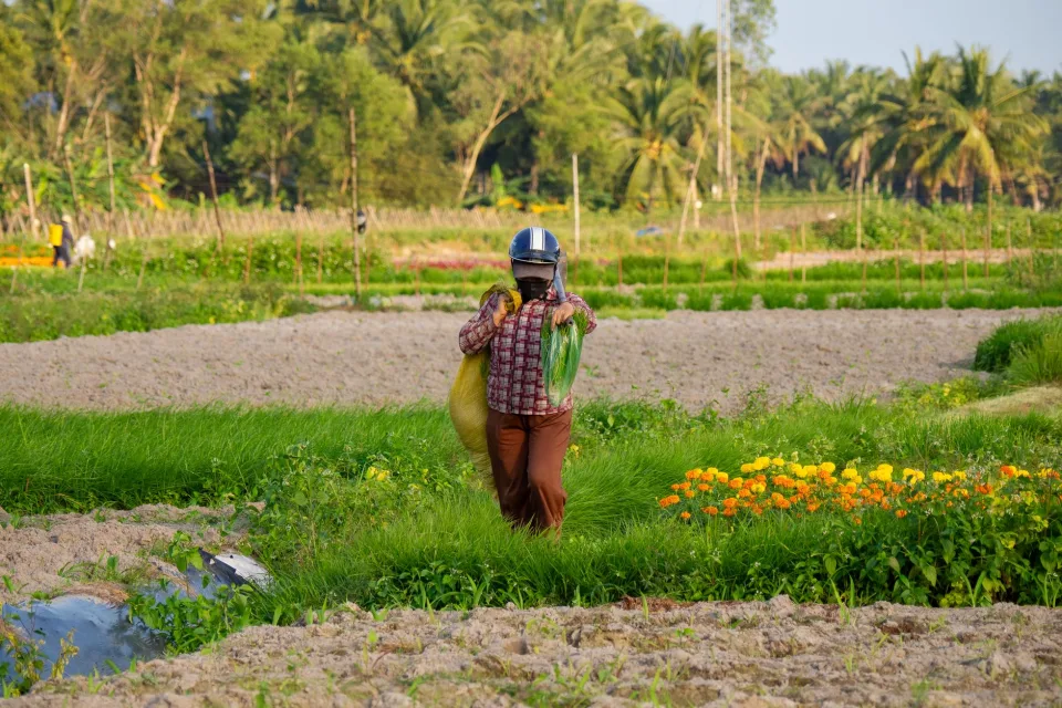 Nông sản & vật tư nông nghiệp