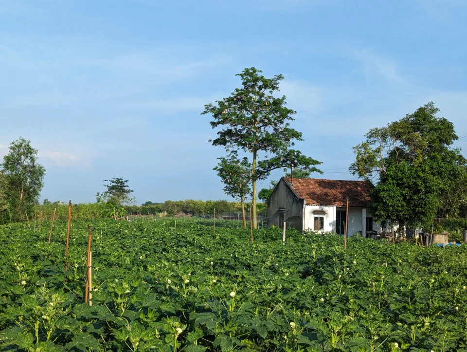 Nông sản & vật tư nông nghiệp